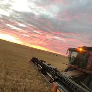 Meet your Posher, Jack